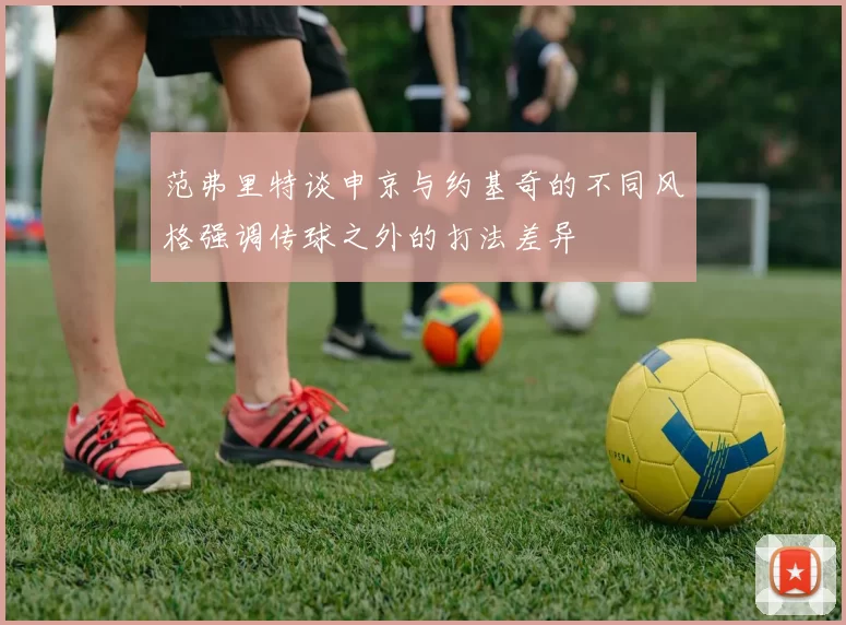 范弗里特谈申京与约基奇的不同风格强调传球之外的打法差异